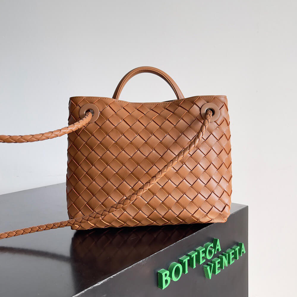 Bottega Veneta Small Andiamo