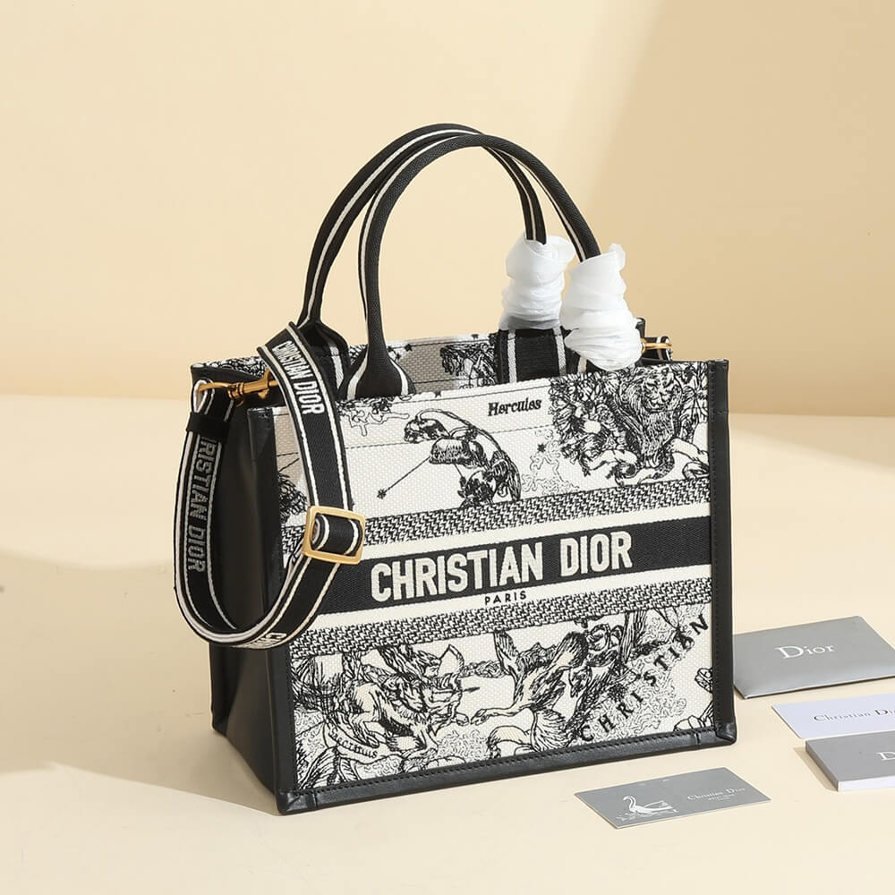Small Dior Book Tote
